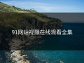 91网站视频在线观看全集