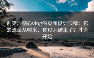 别笑，糖心vlog的页面设计很精：它的流量从哪来：你以为结束了？才刚开始