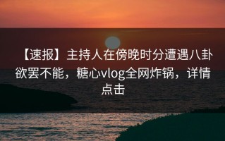 【速报】主持人在傍晚时分遭遇八卦 欲罢不能，糖心vlog全网炸锅，详情点击