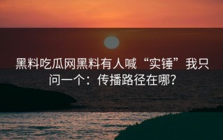 黑料吃瓜网黑料有人喊“实锤”我只问一个：传播路径在哪？